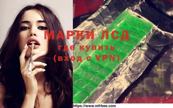 индика Осташков