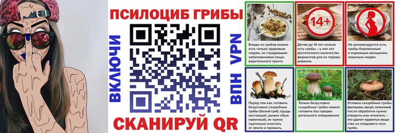 как найти наркотики  Покров  OMG ТОР  Псилоцибиновые грибы мицелий 